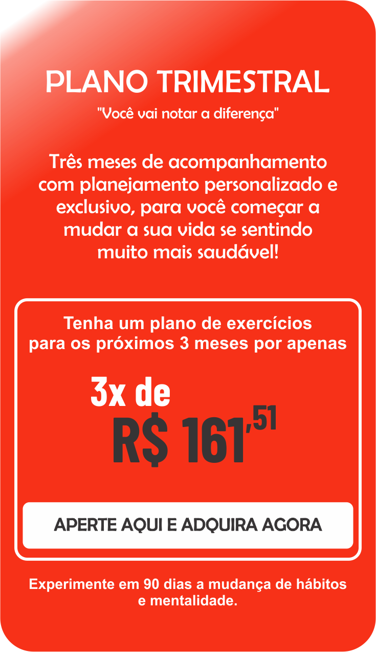 PLANO TRIMESTRAL.png